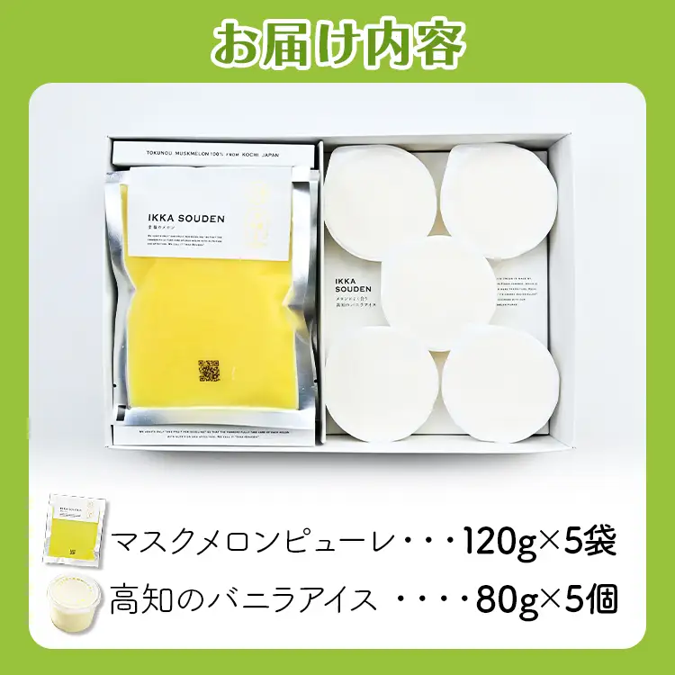  メロンピューレ(120g×5袋) バニラアイス(80ｇ×5個) アイス tn-0021
