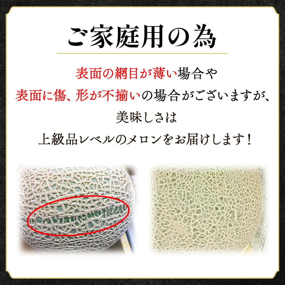 【11月以降順次配送】高知県産 マスクメロン ２玉 家庭用 【 赤肉青肉セット フルーツ くだもの フルーツ メロンの返礼品 】 香南市 tn-0026