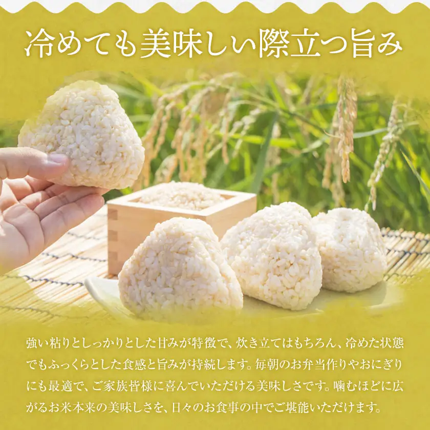 R8年産米 米 白米 コシヒカリ 5kg 《30日以内に出荷予定(土日祝除く)》