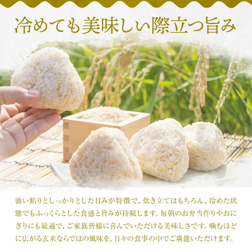 R8年産米 米 玄米 コシヒカリ 5kg《30日以内に出荷予定(土日祝除く)》