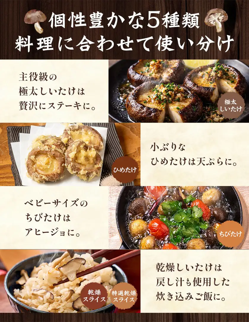 しいたけ きのこ 野菜 しいたけ詰め合わせセット 計1060g 《30日以内に出荷予定(土日祝除く)》 