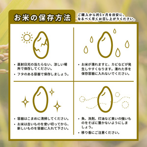 定期便 3回 コシヒカリ 無洗米 10kg 令和6年産 米 こめ ご飯 ごはん おにぎり 精米 無洗米 卵かけご飯 食品 備蓄 備蓄米 保存 防災 ギフト 贈答 プレゼント お取り寄せ グルメ 送料無料 徳島県 阿波市 須見商店
