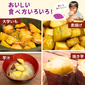 【訳あり】無選別+土付きのさつまいも(紅はるか)10kg | さつまいも さつまいも さつまいも さつまいも さつまいも