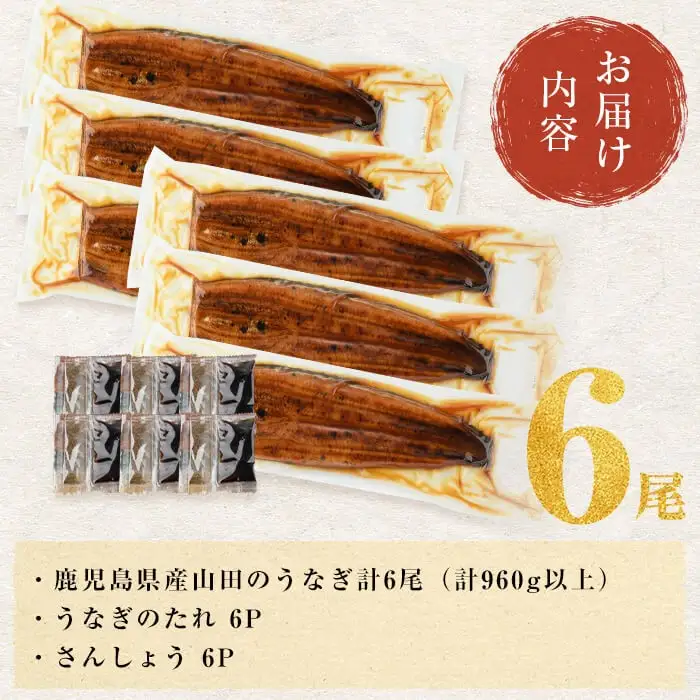 うなぎ 鹿児島産 山田のうなぎ ＜計960g以上＞ c2-014