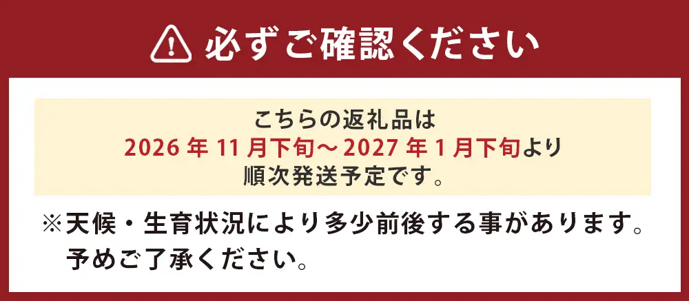 山本農園の大玉みかん 4.5kg 温州みかん 早生 温州 みかん ミカン 蜜柑 温州蜜柑 温州ミカン フルーツ くだもの 果物 ミネラル豊富 太良町 国産 贈答用 L14x1 【2026年11月下旬～2027年1月下旬】
