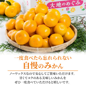 大鋸農園の甘果坊（小玉）５ｋｇみかん蜜柑太良みかん温州みかん果物フルーツ甘い柑橘小玉ノーワックス果実くだもの柑橘類佐賀県太良町 LB8x1 【2026年10月下旬～12月下旬配送予定 】