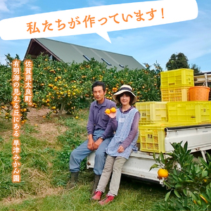 L-101　早津みかん園の完熟みかん3kg　みかん ミカン 蜜柑 たらみかん 太良みかん 温州みかん 完熟みかん 甘熟 柑橘 国産 佐賀県産 太良町 こだわり 有機栽培 産地直送 贈答品 詰め合わせ 極甘