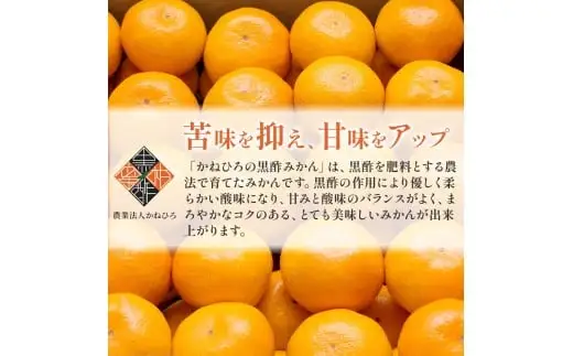 かねひろの黒酢みかん（小玉） 【7営業日以内発送】 【2026年10月下旬から2027年1月下旬まで発送予定】 新鮮 黒酢 アミノ酸 みかん 蜜柑 ミカン 温州みかん 5kg 甘い 柑橘 果実 フルーツ オレンジ 人気 おすすめ 贈答 ギフト 正月 実家 産地 九州 佐賀県 太良町 L39x1