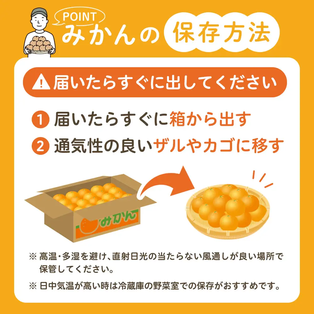 かねひろの黒酢みかん 10.3kg 2S～2L 【7営業日以内発送】 【2026年10月下旬から2027年1月下旬まで発送予定】新鮮 黒酢 アミノ酸 みかん 蜜柑 ミカン 温州みかん 10kg 甘い 柑橘 果実 フルーツ オレンジ 人気 おすすめ 贈答 ギフト 正月 実家 産地 九州 佐賀県 太良町 N77x1