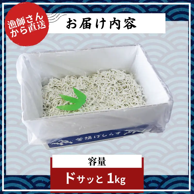 【漁師が獲れたて即加工！】しらす 1kg 朝どれ 大容量 水揚げ 釜揚げ しらす丼 魚介 シーフード 特産品 海産物 新鮮 惣菜 国産 鮮度 ふるさと納税 採れたて 安全 安心 カルシウム 徳島県 小松島
