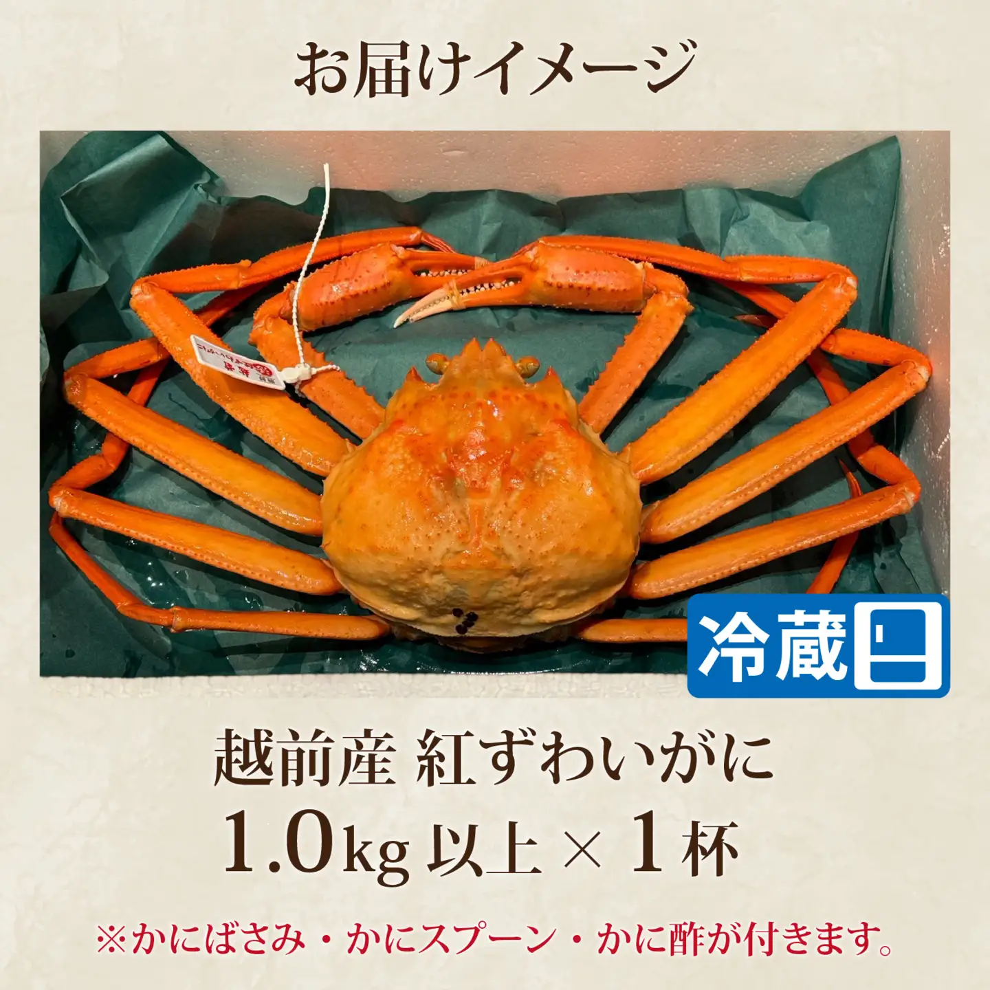 【先行予約】【蟹問屋 越前田村屋 究極の逸品】越前産 紅ずわいがに 1.0kg以上 1杯 [C-029068] / 紅ズワイガニ