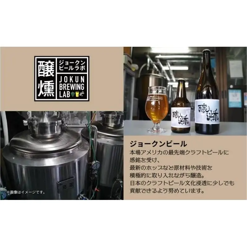 クラフトビール 2種 330ml 計4本 酒ヘイジーIPA Hazy IPA ビール 地ビール 瓶ビール ヘイジーIPA お酒 酒 ホップ 麦芽 コーヒー人気 晩酌 宅飲み 家飲み 飲み比べ お取り寄せ ギフト 冷蔵 ジョークンビール 新潟県 十日町市