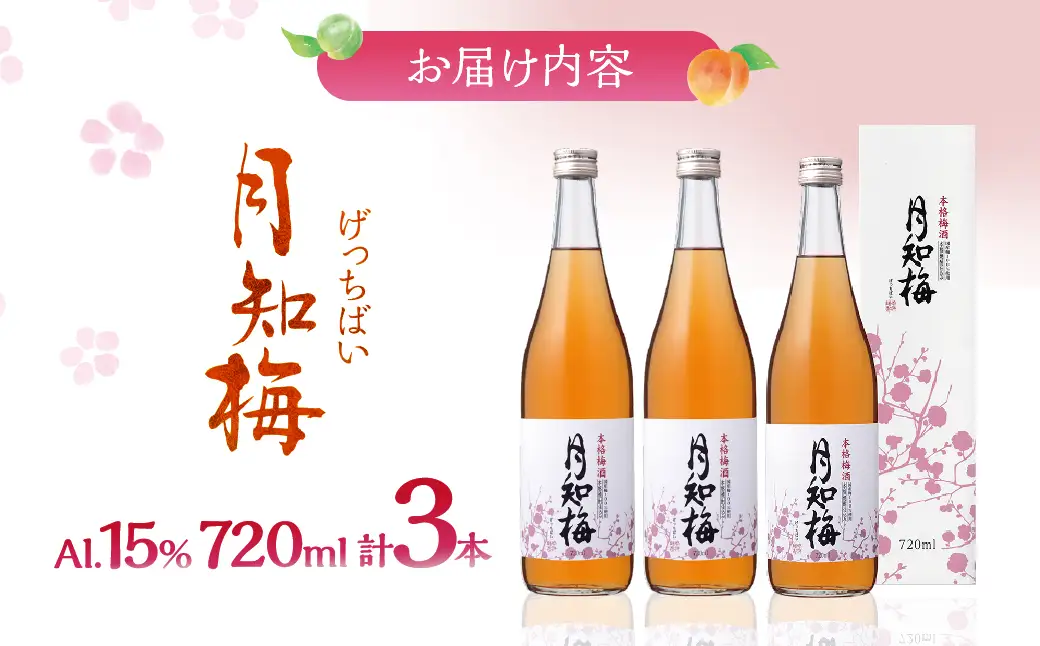 【雲海酒造】国産梅100%使用 本格梅酒「月知梅」720ml×3本_A0087-011