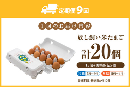 【９か月定期便】放し飼い米たまご15個+5個保証（計20個）農家直送 新鮮 卵 タマゴ 赤卵 玉子 鶏卵 朝食 夕食 夜食 朝ごはん たまご焼き オムレツ 卵ご飯 料理 濃厚 飼料にこだわった 卵かけご飯 米たまご 生卵 大容量 お取り寄せ 愛知県 常滑市