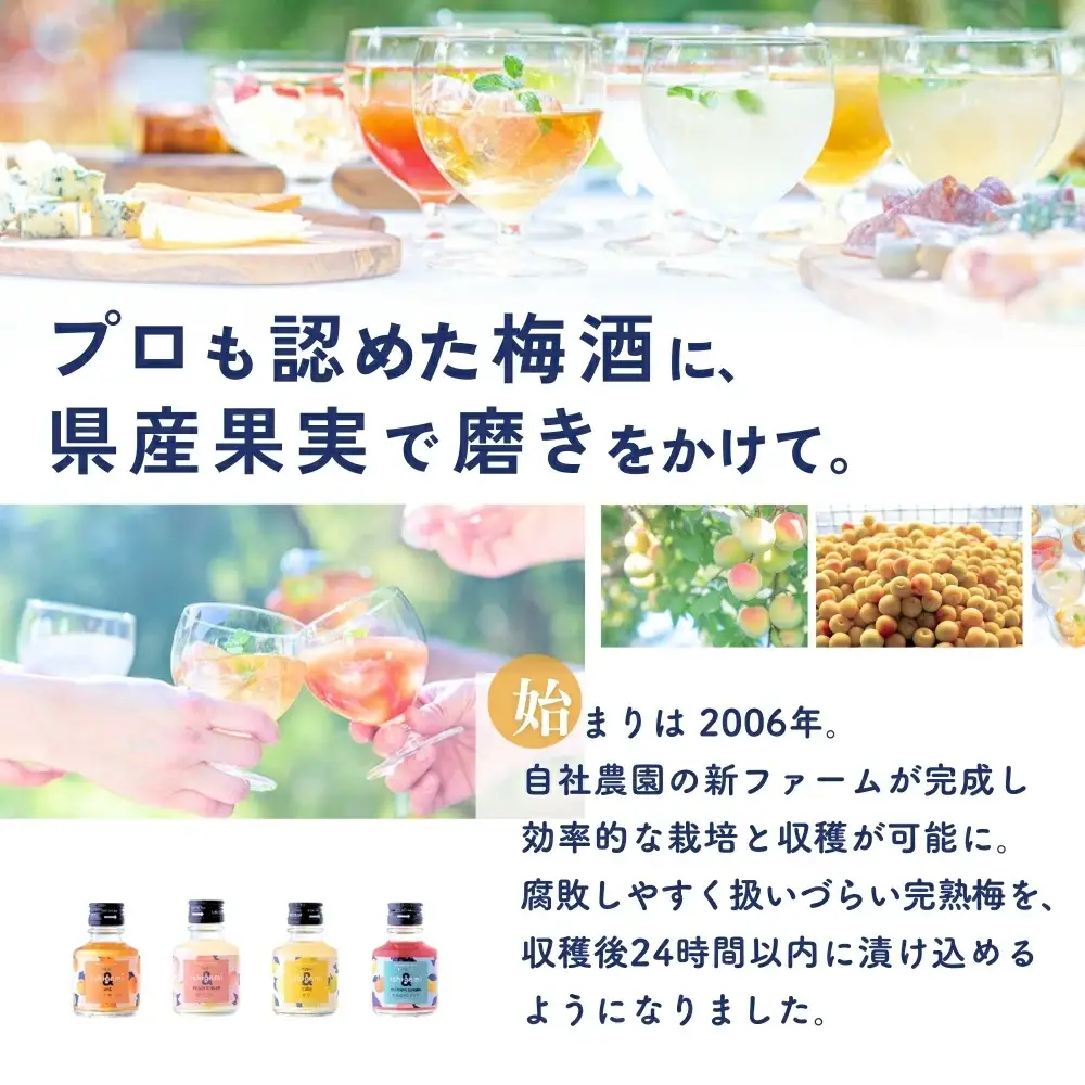 梅酒ishigami&（イシガミアンド）（うめ） 600ml×2本 / 梅干し 梅干 梅 うめ 炭酸割り ロック 和歌山 田辺市 紀州産 南高梅 完熟梅 フルーツ【isg042】