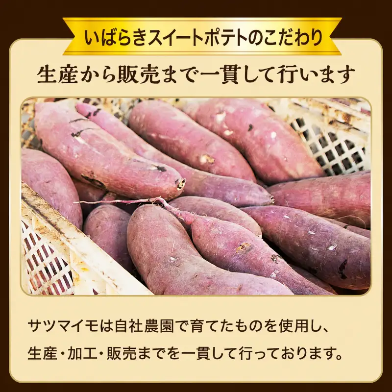 【プレミアム干し芋】しらとりスイート（紅はるか）大サイズ　720g（20g×36袋） 干しいも ほしいも さつまいも 茨城 鉾田 国産 おすすめ 人気 ギフト プレセント 送料無料 産地直送 旬 しっとり 美味しい 芋スイーツ 特産品 農家 菓子 和菓子 おやつ 和スイーツ おかし 和食