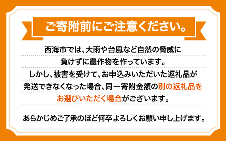 みかん【訳あり】 原口みかん 約5kg  [CCX009] 