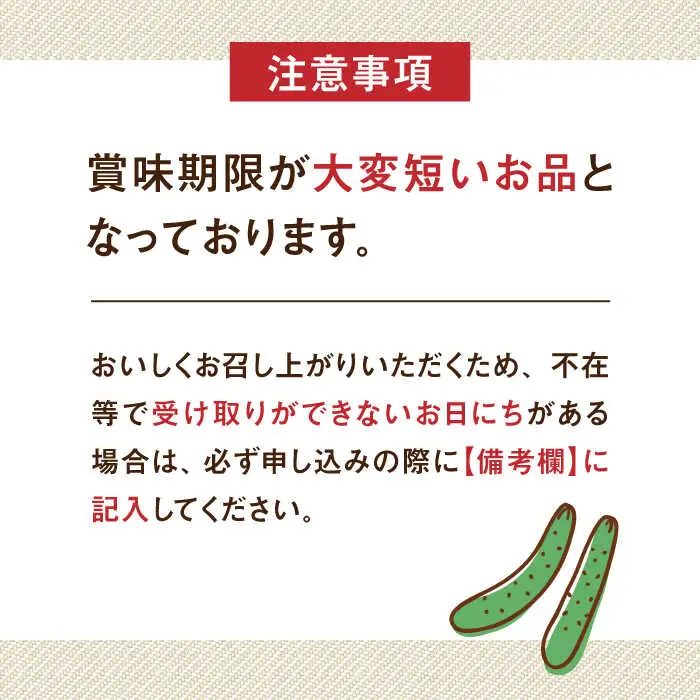朝採り新鮮ユニークきゅうり 3kg（小さめ・小曲り） /株式会社 y's company（utsu和ya）[UDX003]きゅうり