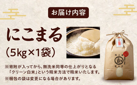 令和6年産 お米 5kg（にこまる）/稲工房案山子[AGAV005] お米 5kg お米 5kg お米 5kg お米5kg