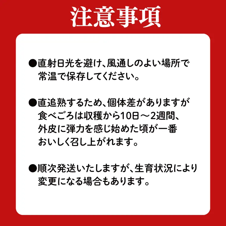 アールスメロン 1玉 益子町 AA040