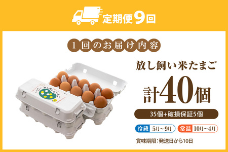 【9か月定期便】放し飼い米たまご35個+5個保証（計40個）農家直送 新鮮 卵 タマゴ 赤卵 玉子 鶏卵 朝食 夕食 夜食 朝ごはん たまご焼き オムレツ 卵ご飯 料理 濃厚 飼料にこだわった 卵かけご飯 米たまご 生卵 大容量 お取り寄せ 愛知県 常滑市