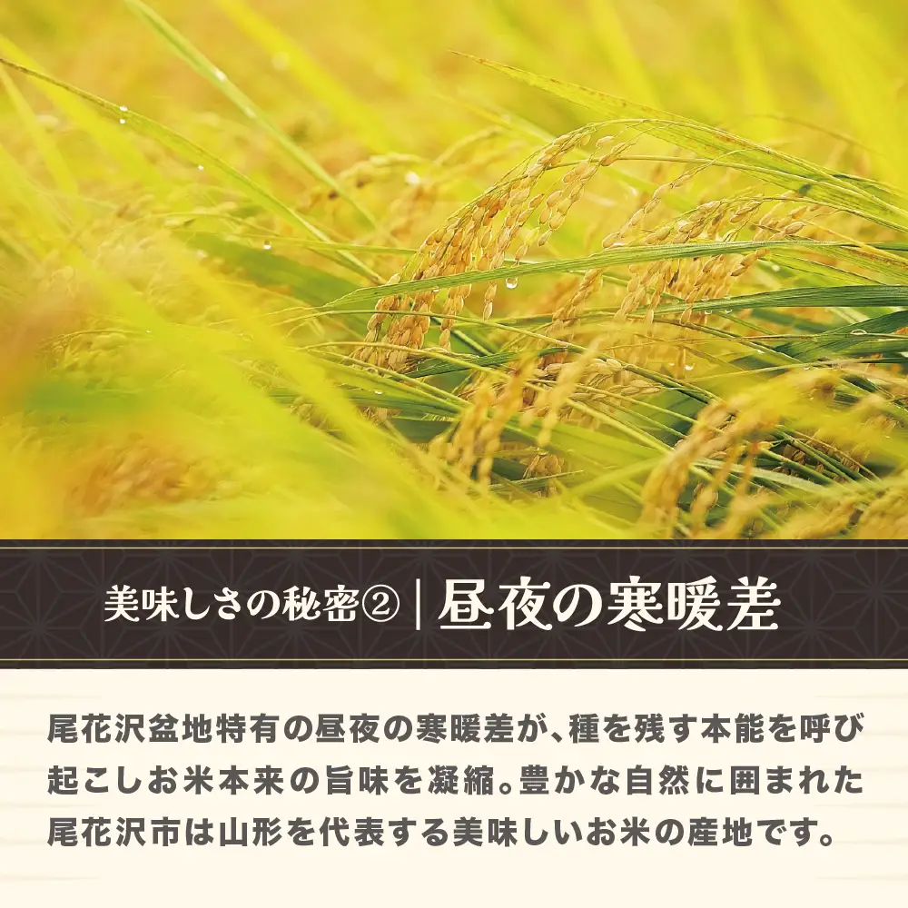 新米 令和8年産 精米 雪若丸 20kg ja-ywsxb20