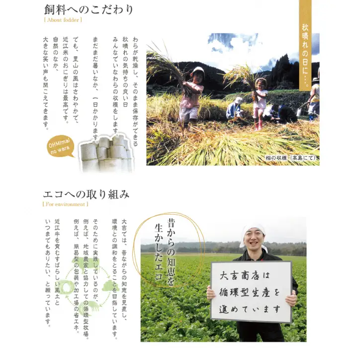 【A-049】大吉商店　滋賀郷土料理じゅんじゅん　近江牛ヒレすき焼きセット　400g×2／計800g 　わりした付き【高島屋選定品】
