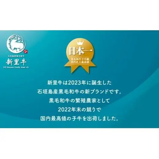 石垣島産 黒毛和牛 新里牛 中落ちゲタカルビ（200g×2）　SZ-26