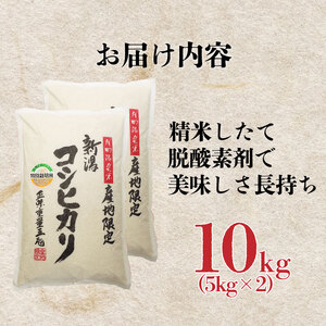 コシヒカリ 10kg コシヒカリコシヒカリコシヒカリ