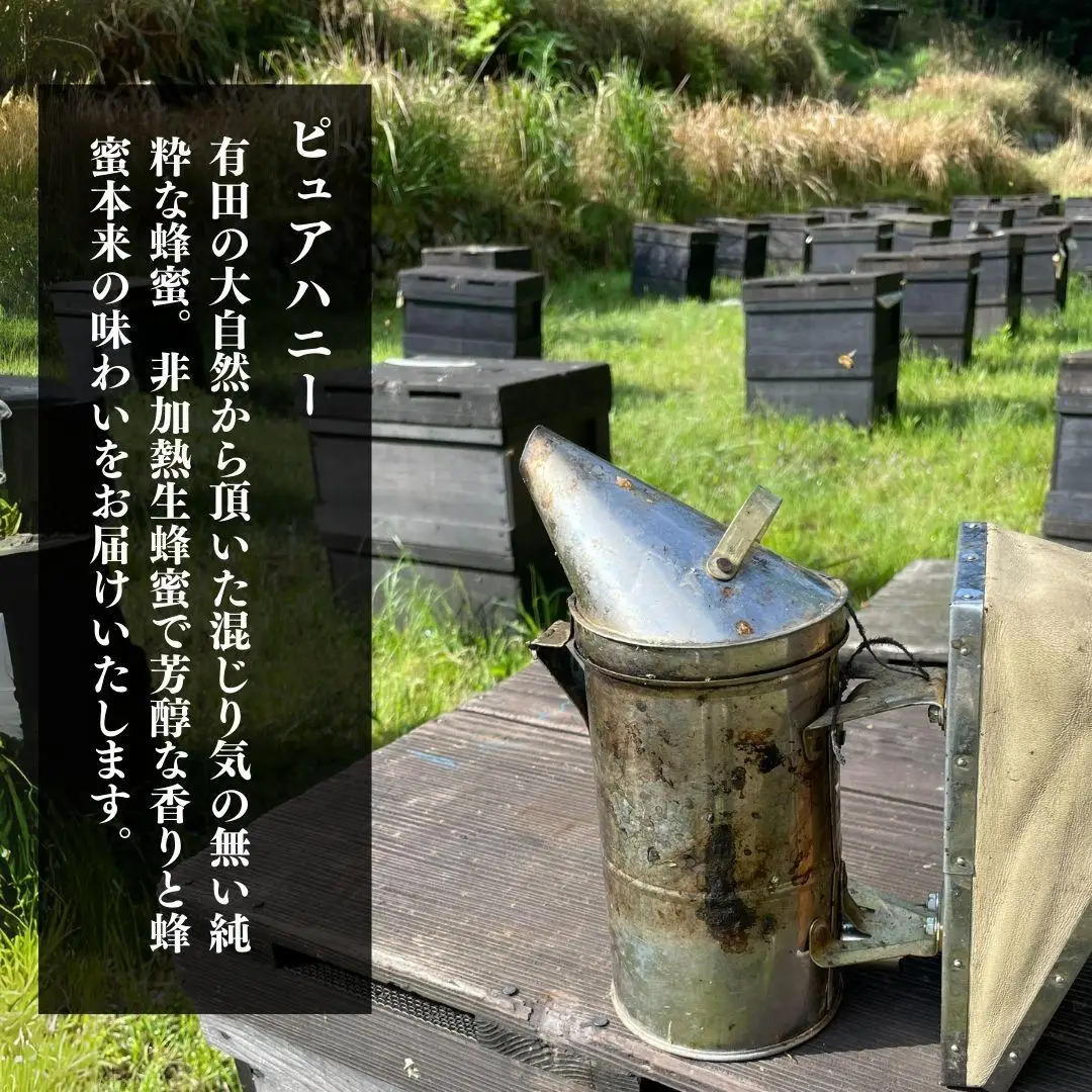ありだ里山の蜂蜜 570g×2本セット 化粧箱入り