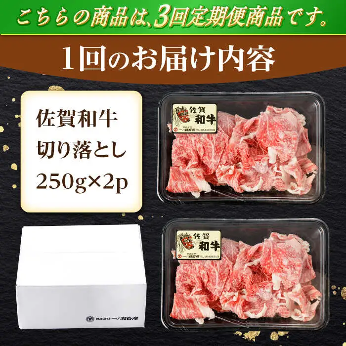 【定期便】牛肉切り落とし 計500g NAC162 牛肉 全3回