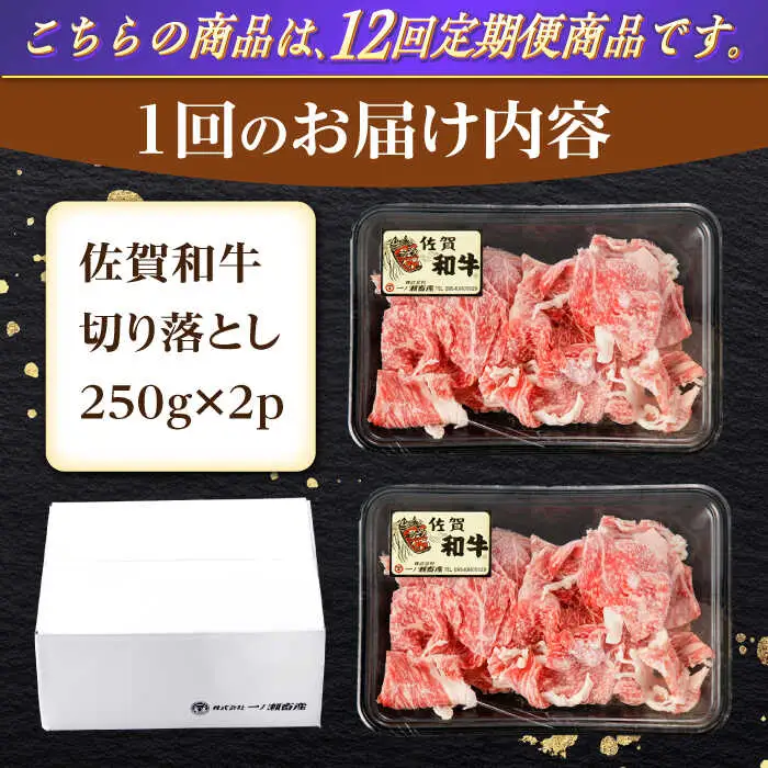 【定期便】牛肉切り落とし 計500g NAC164 牛肉 全12回