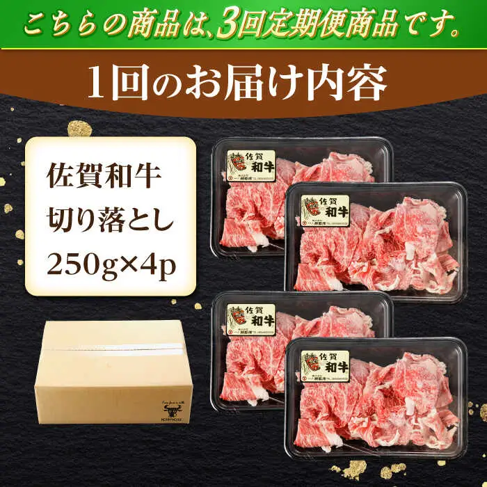 【定期便】牛肉切り落とし 計1kg NAC165 牛肉 全3回