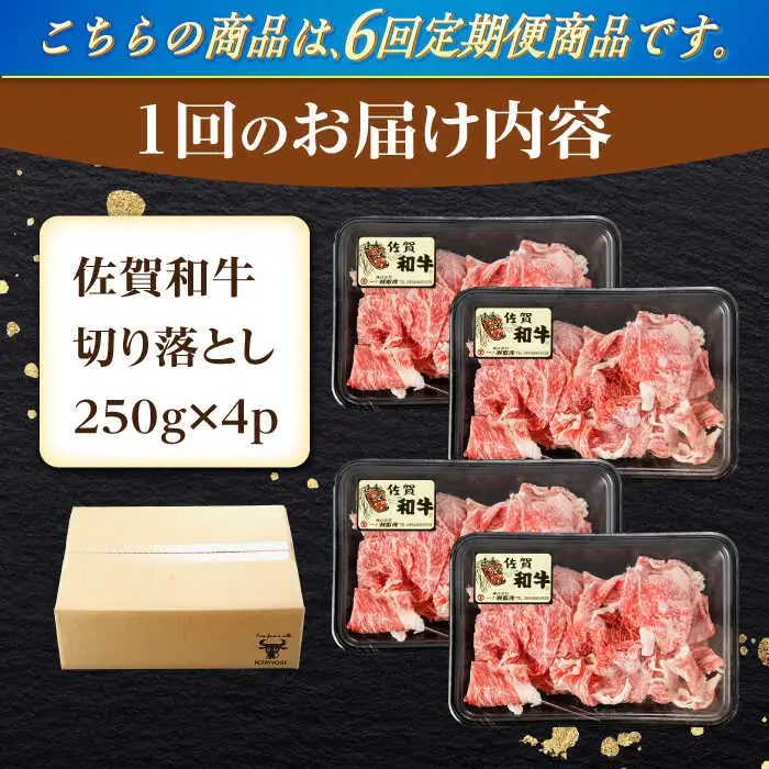 【定期便】牛肉切り落とし 計1kg NAC166 牛肉 全6回