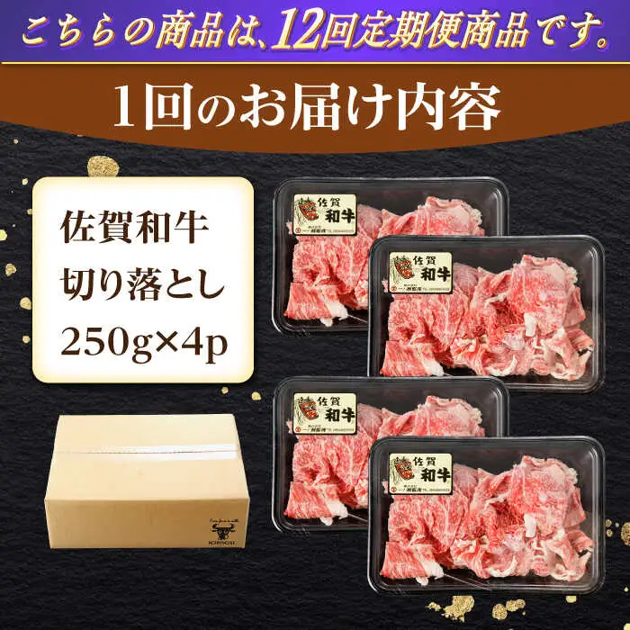 【定期便】牛肉切り落とし 計1kg NAC167 牛肉 全12回