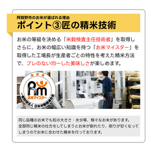【令和7年産】 9ヶ月定期便 特別栽培米 新之助 5㎏（5kg×1袋）×9回 米杜氏 壱成 白米 精米 大粒 つや 光沢 弾力 芳醇 新潟県 米 こめ コメ 1H49163