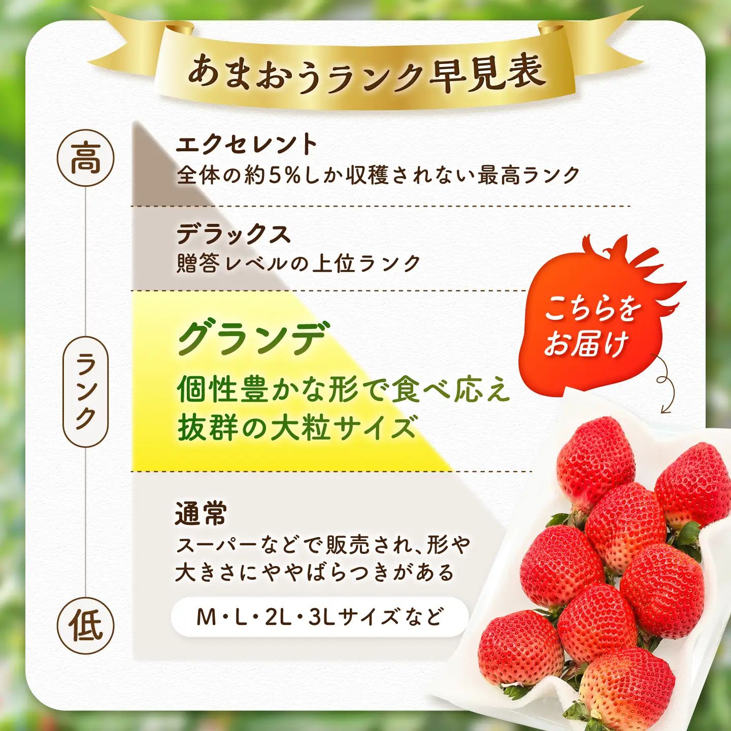 【2月発送】あまおうG等級 3ケース（約270g×6パック） 広川町 / JAふくおか八女農産物直売所どろや[AFAB103]
