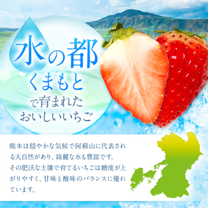  厳選農家直送 淡雪 約500g 