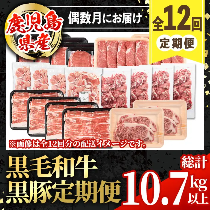 ＜定期便・計12回(連続)＞ 鹿児島県産 黒毛和牛 黒豚 定期便 総計 約10.7kg 以上 【スターゼン】 i1008
