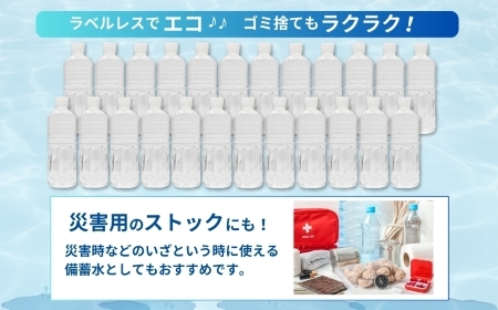 天然水 【定期便・全12回】ラベルのない細野の天然水 555ml×24本×12回 計288本 ミネラルウォーター 天然水 水 中硬水 シリカ 