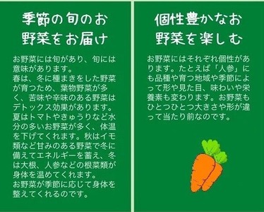 甘い葉付き人参 4kg かたもとオーガニックファーム 人参
