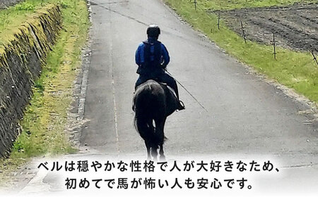 乗馬体験券（ふれあい、30分程度の乗馬）1名分 チケット / 恵那市 / ベルの家 [AUCN001]