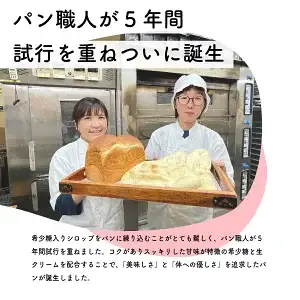 【定期便・全12回】村のパン屋さん 食パン 1.5斤×2個 （冷凍） 山型 食パン 無添加 防腐剤不使用