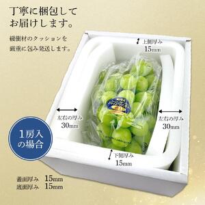 岡山県産 シャインマスカット 晴王 2房 約1.4kg ハレノフルーツ |  シャインマスカット