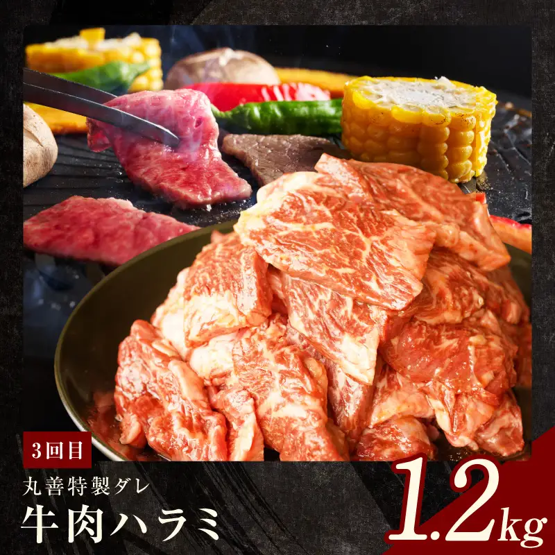 焼肉定期便 総量3.4kg（肩ロース／牛タン／牛ハラミ）全3回 丸善味わい加工【毎月配送コース】