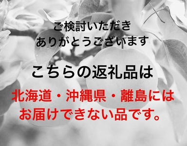 ZZ-18　【令和8年発送・先行予約】岡山県産　シャインマスカット（1房600g以上・晴王）2房　化粧箱入り