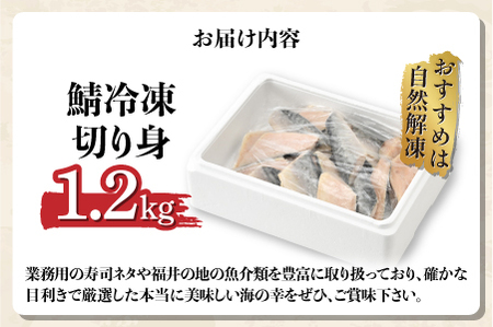 サバエのサバ！鯖 骨なし 無塩 冷凍切り身 1.2kg 魚　海鮮