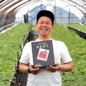 あまおう 白木のいちご あまおうづくし あまおう【定期便6ヶ月6回】