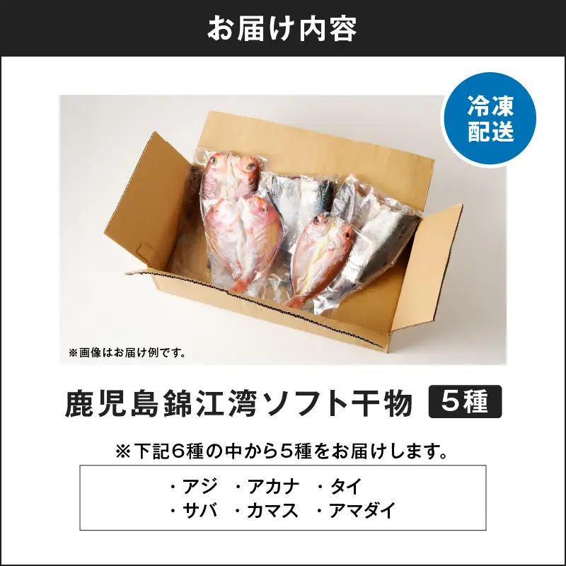 鹿児島 錦江湾 の ソフト 干物 5種 セット K295-001 魚 冷凍