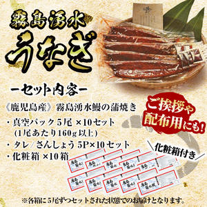 【数量限定】【化粧箱10箱】ご挨拶・配布用にも！鹿児島県産 山田水産の霧島湧水鰻＜計50尾(5尾×10箱)/計8kg(1尾あたり160g)＞ wc5-002-yy
